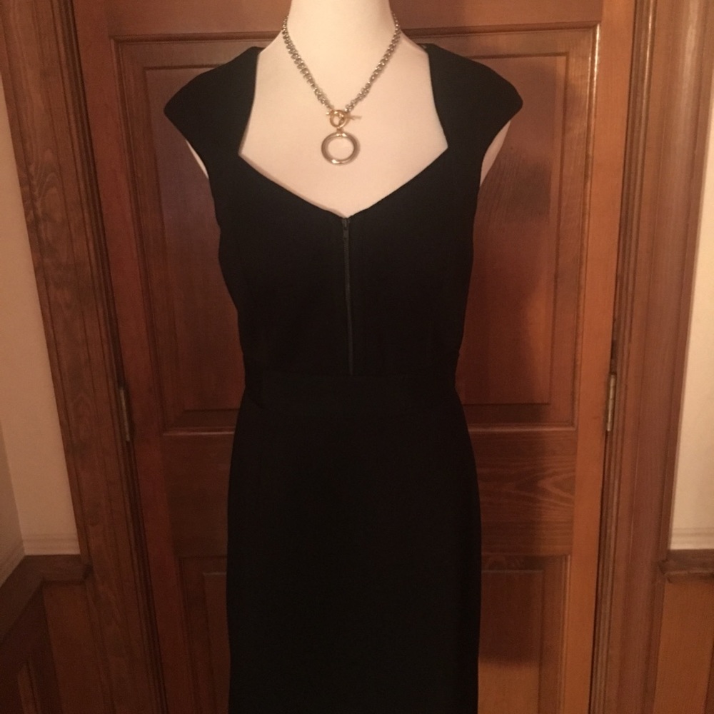WHBM Front Zip Bodice Sheath Dress